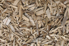 biomass boilers Lana